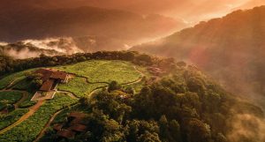 Tìm hiểu về đất nước Rwanda và những địa điểm du lịch hấp dẫn